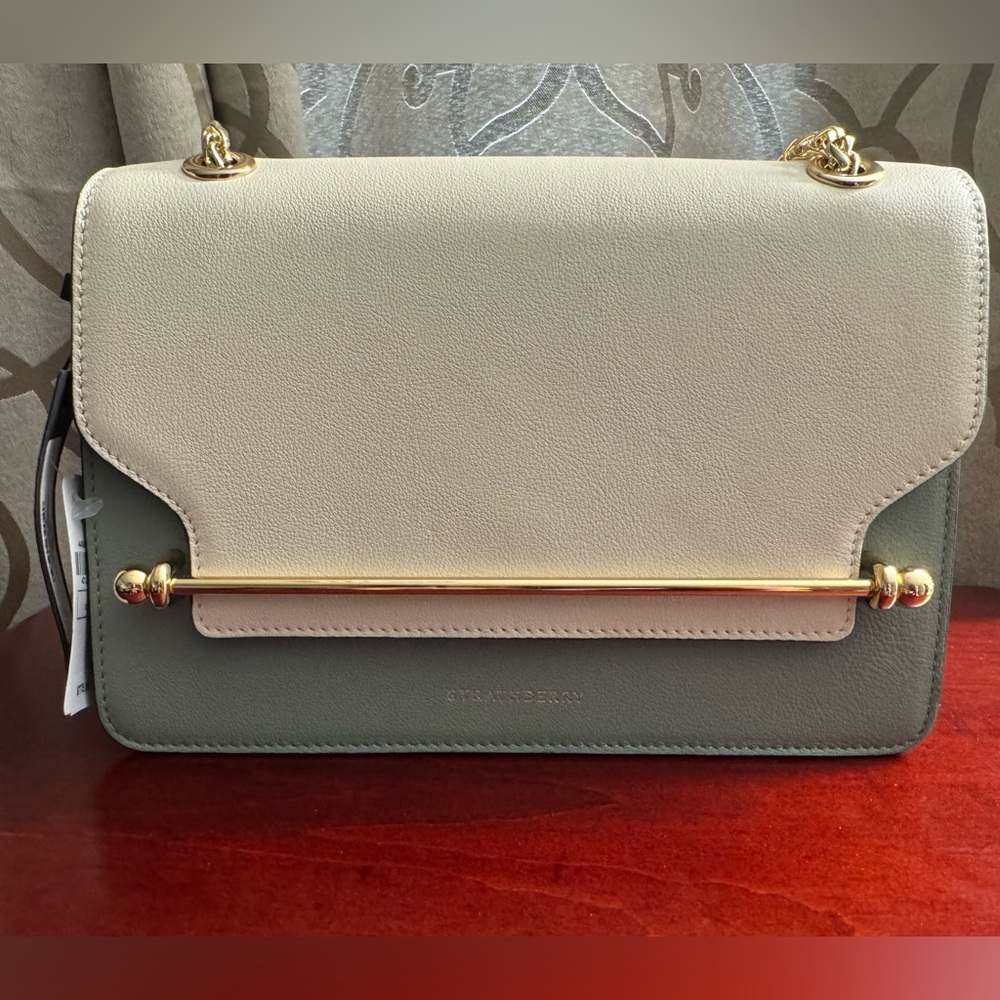 NWT STRATHBERRY East-West Tricolor Leather Chain Shoulder Bag